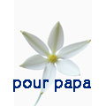 la to do list pour papa