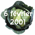 les premiers mois d'Alex