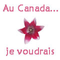 ce que je veux faire au Canada
