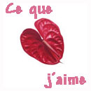ce que j'aime